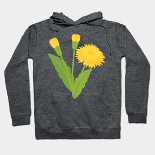 Cute Colorful Dandelion Hoodie